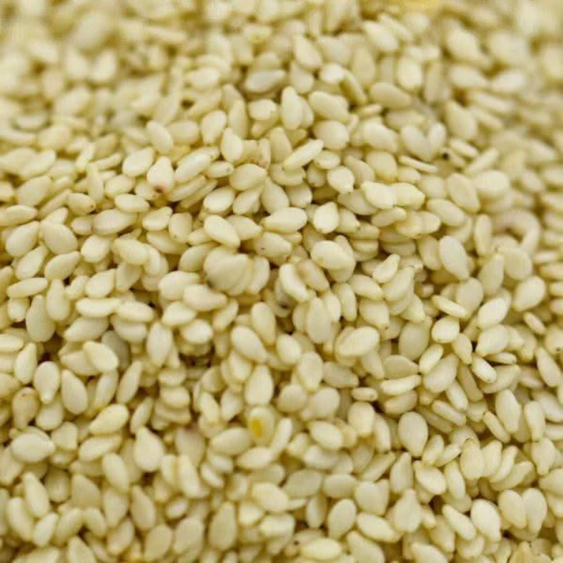 Graines de Sésame - Source de Nutriments et Saveur Authentique