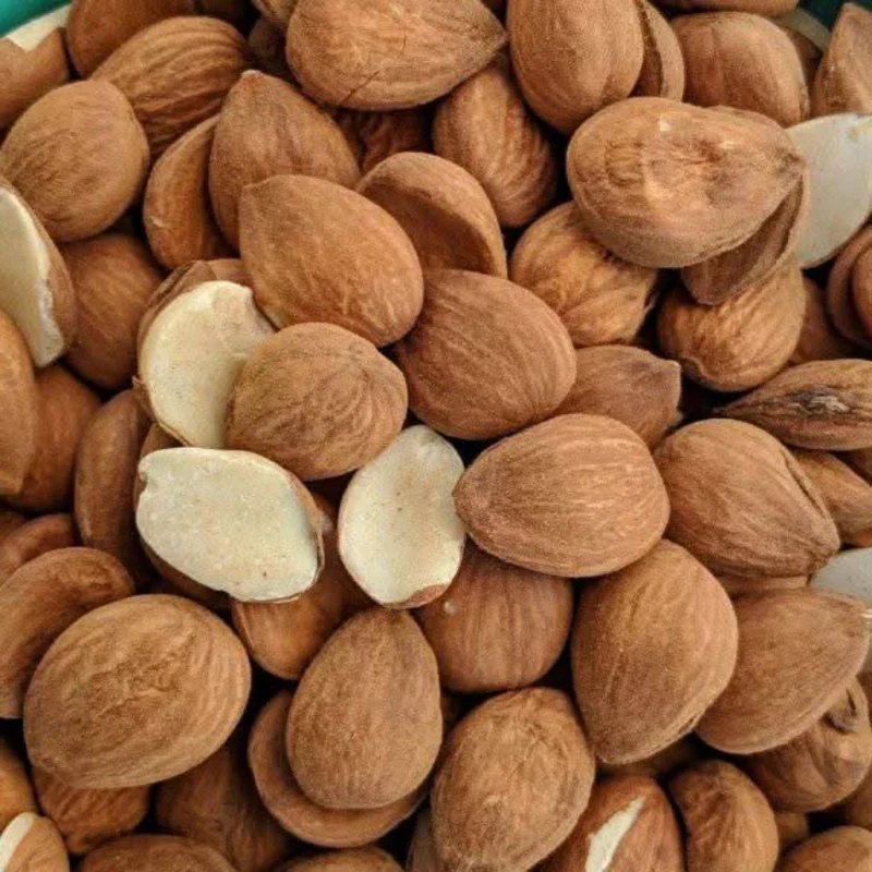 Noyaux d’Abricot Séchés – 50g, 100g, 200g