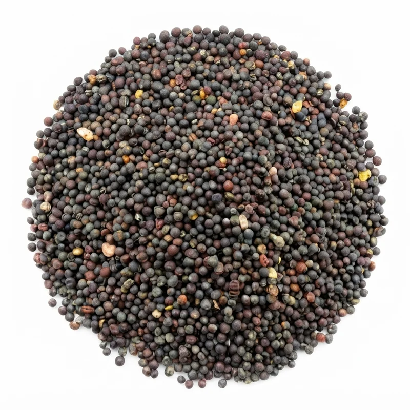 Graines de Navet – Variété de Qualité | Culture Facile & Récolte en 6 à 8 Semaines