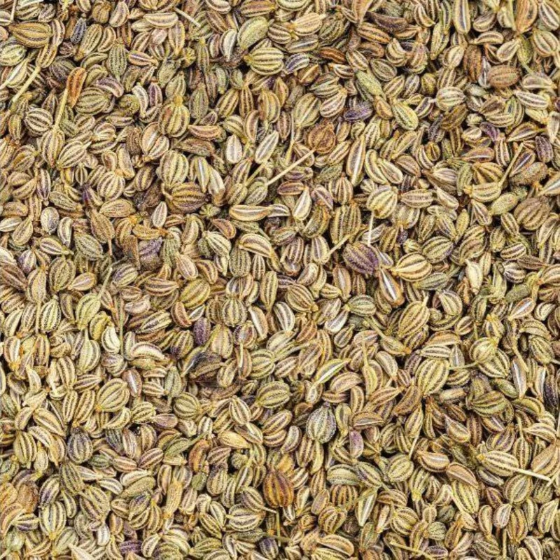Graines de Ammi Visnaga (Khella) – 50g, 100g ou 200g | Graines Naturelles