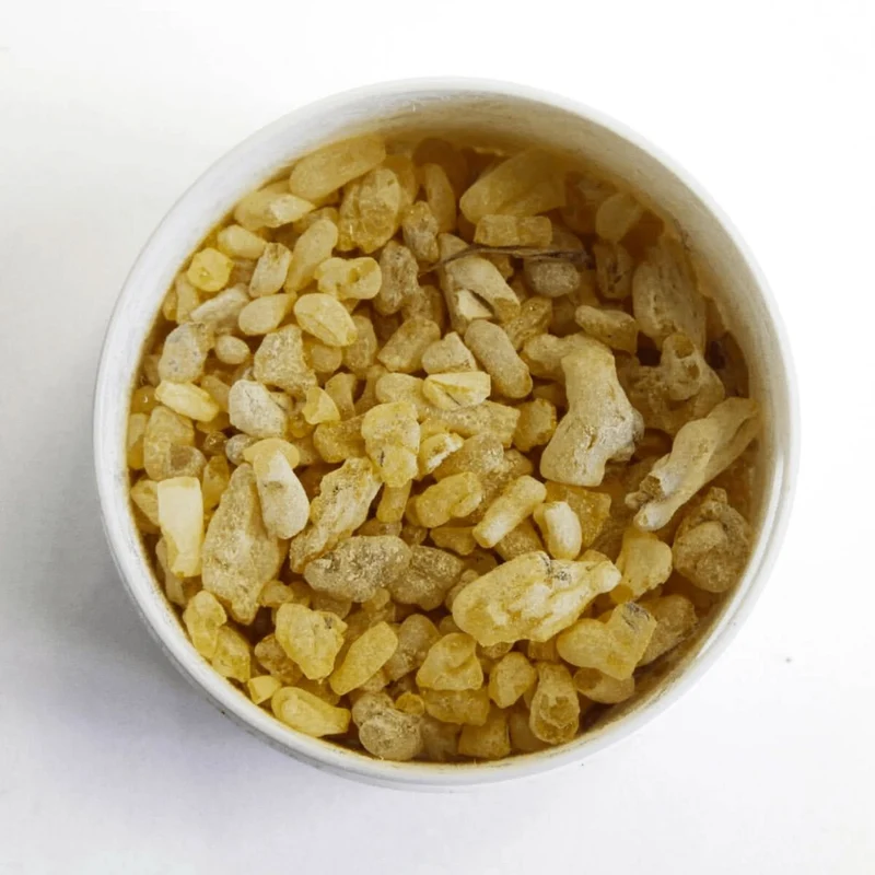 Encens de Sandaraque – Résine Naturelle Pure | Purification & Usage Spirituel