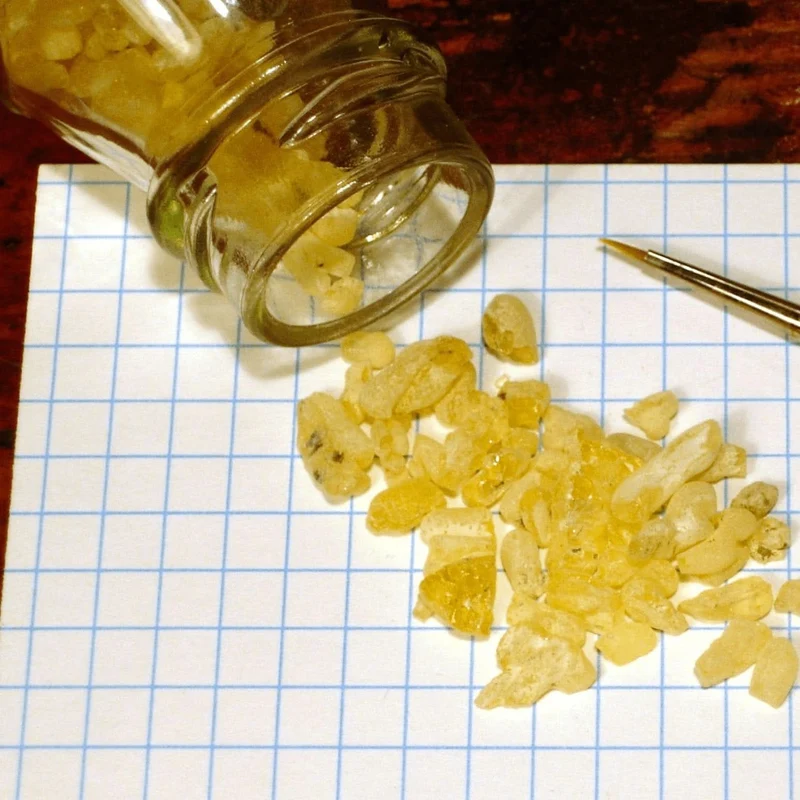 Encens de Sandaraque – Résine Naturelle Pure | Purification & Usage Spirituel