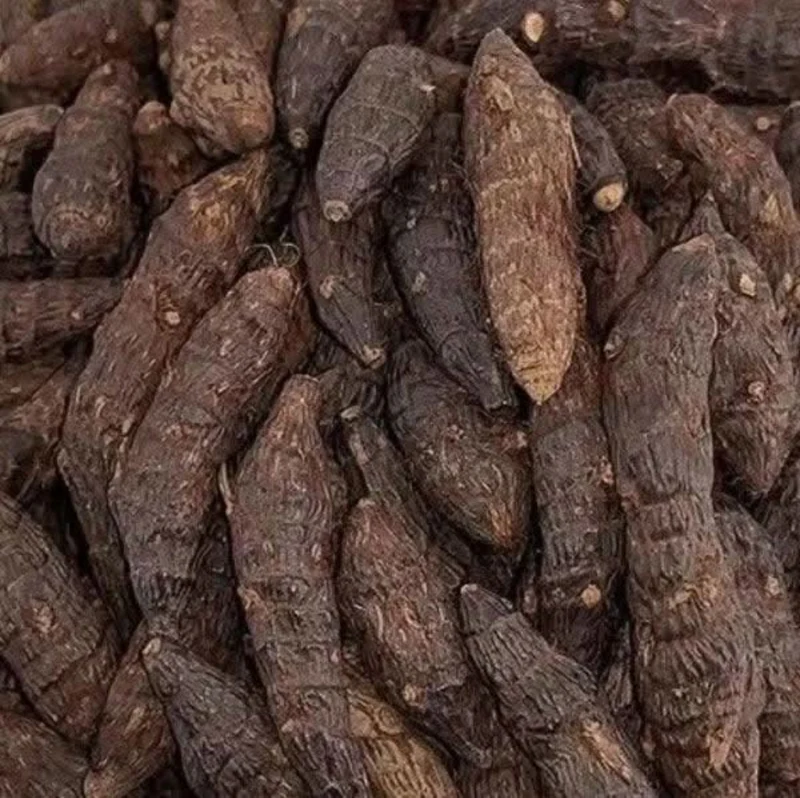 Tara Sahraouia 50g, 100g, 200g | Tamarix articulata | Um Saad Habat el rasse