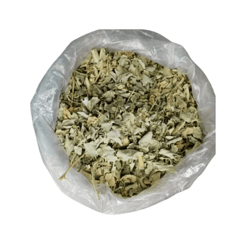 Atriplex Halimus (El Gtaff) – Feuilles Séchées | Plante Méditerranéenne Traditionnelle
