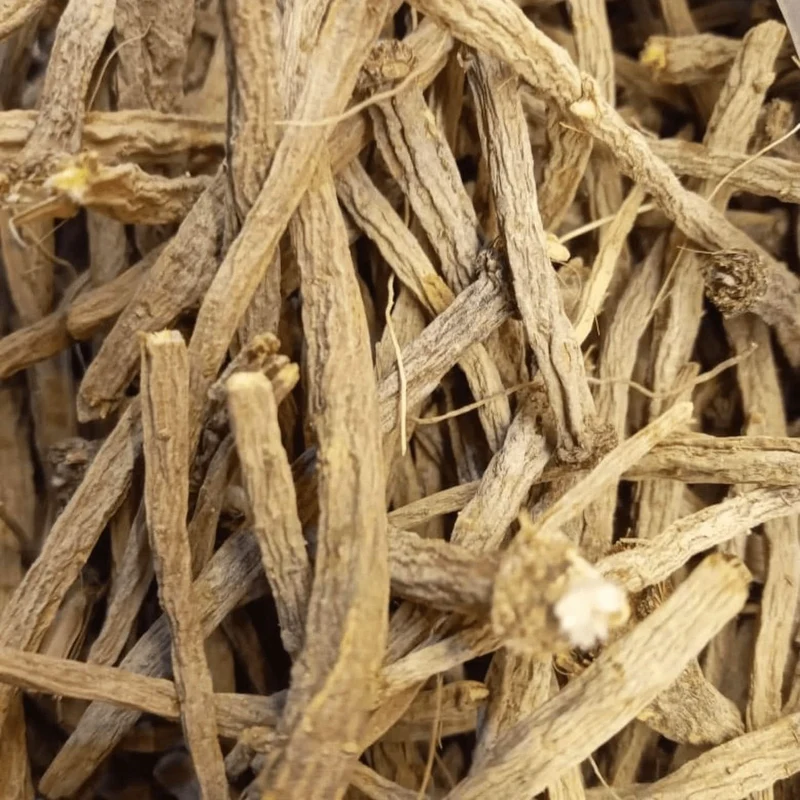 Racines de Pyrèthre d'Afrique – Plante Traditionnelle | Soutien Naturel Multi-Usages