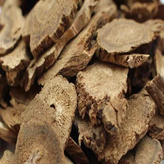 Racines de Costus (Al Qisst) – 50g, 100g ou 200g | Plante Médicinale Naturelle