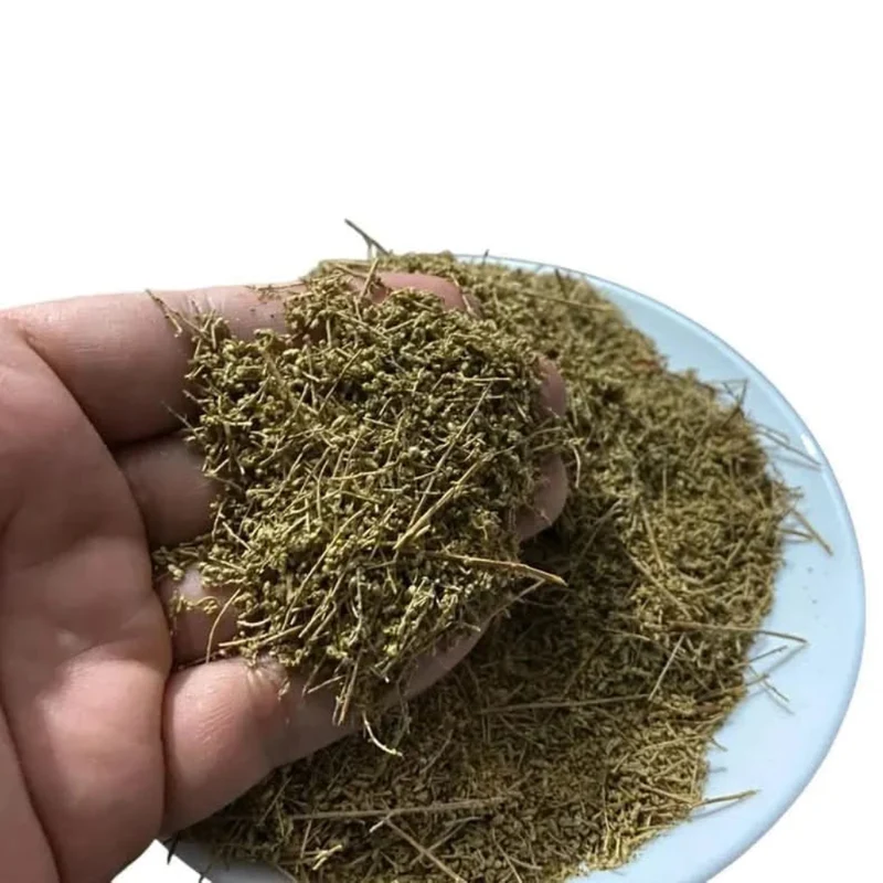 Armoise Commune Chih – Plante Traditionnelle en Infusion | Confort Digestif