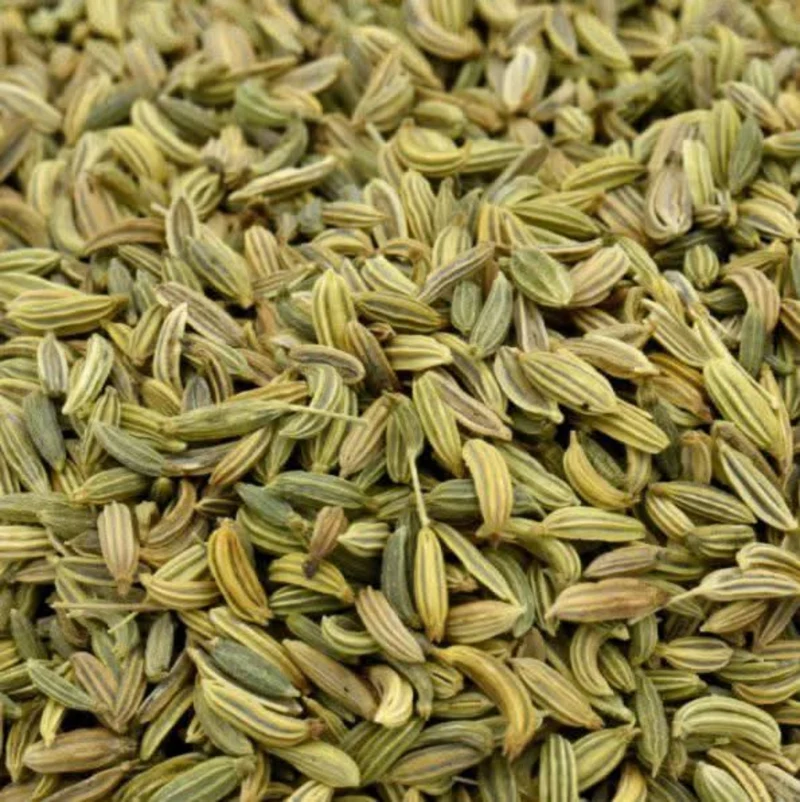 Graines de Fenouil – 50g, 100g ou 200g | Qualité Supérieure, Riche en Antioxydants
