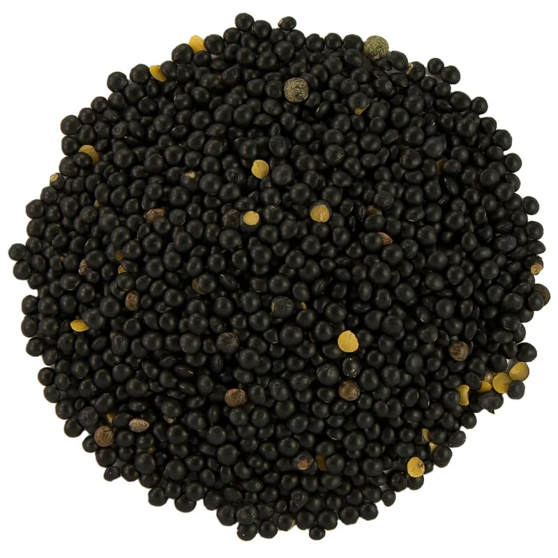 Lentilles Beluga bio