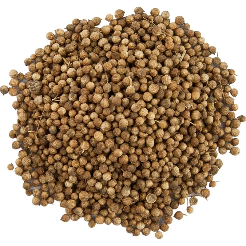 Graines de coriandre