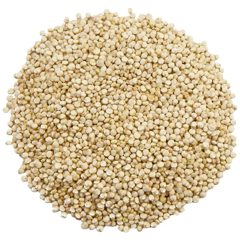 Quinoa du Pays-Bas
