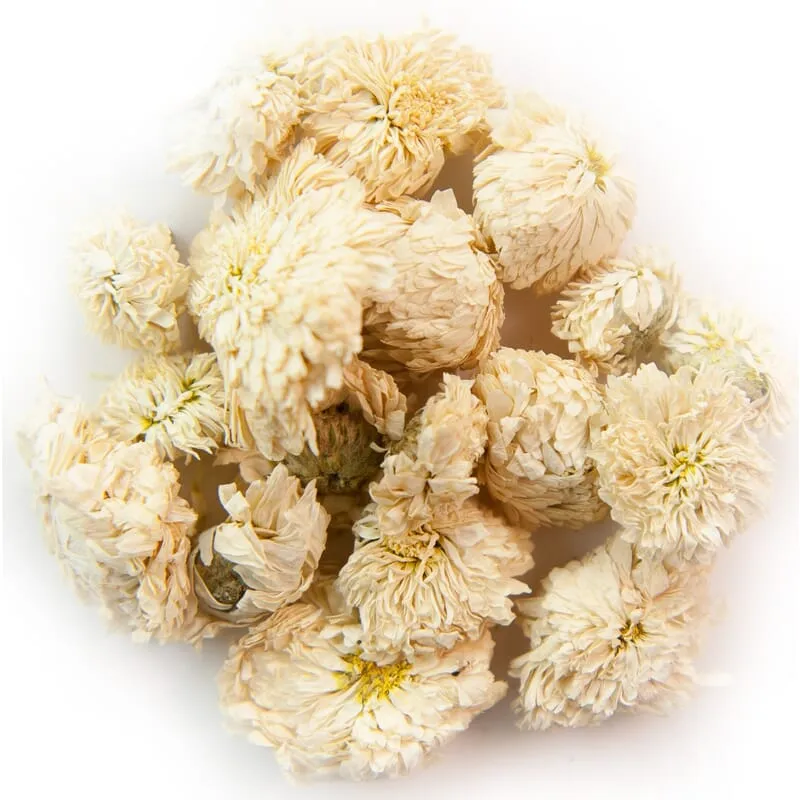Camomille romaine