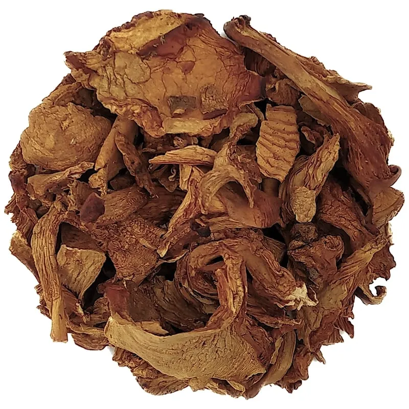 Chanterelles bio