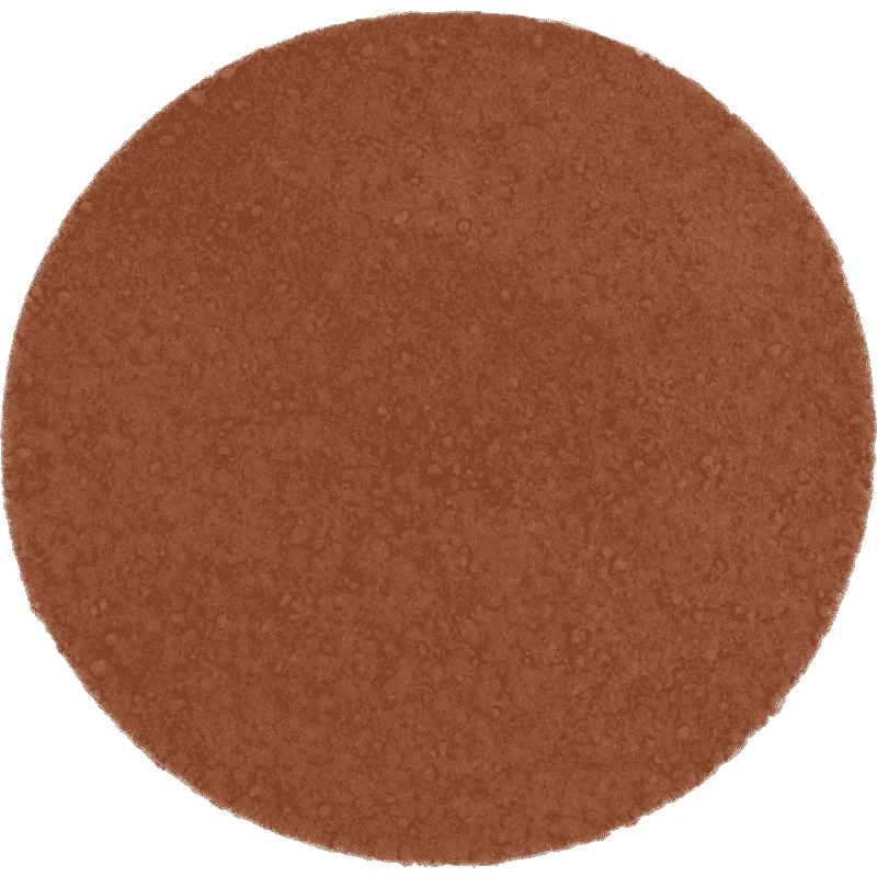 Poudre de cacao bio