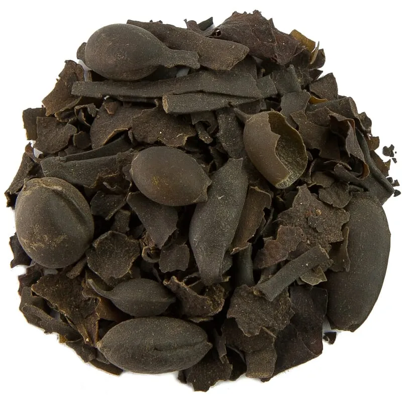 Fucus vésiculeux