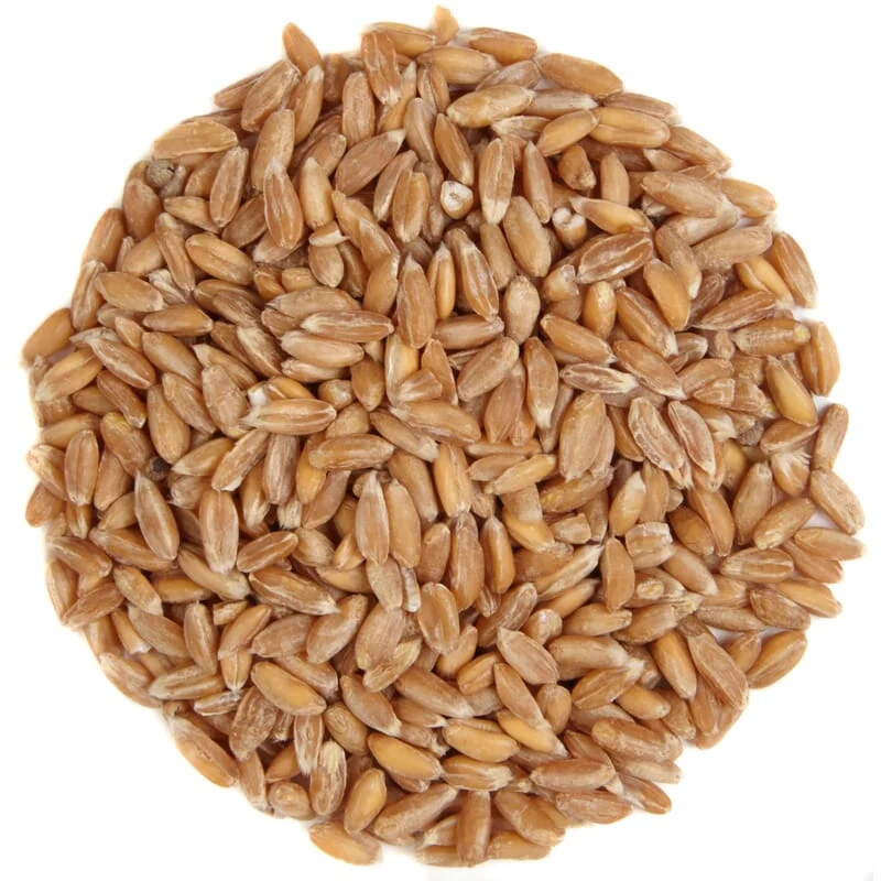 Epautre biologique
