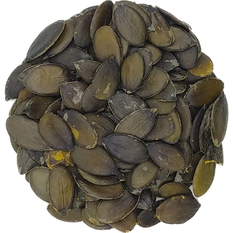 Graines de courge européennes