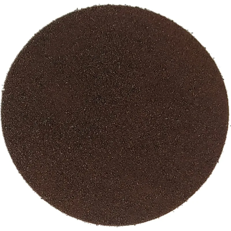 Poudre d'ail noir biologique
