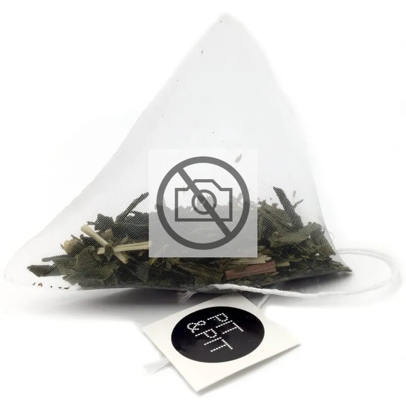 Feuilles d'ortie biologique en sachets de thé