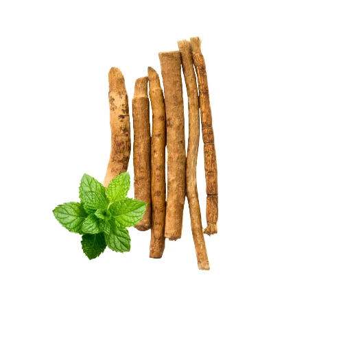 SIWAK - MISWAK MENTHE