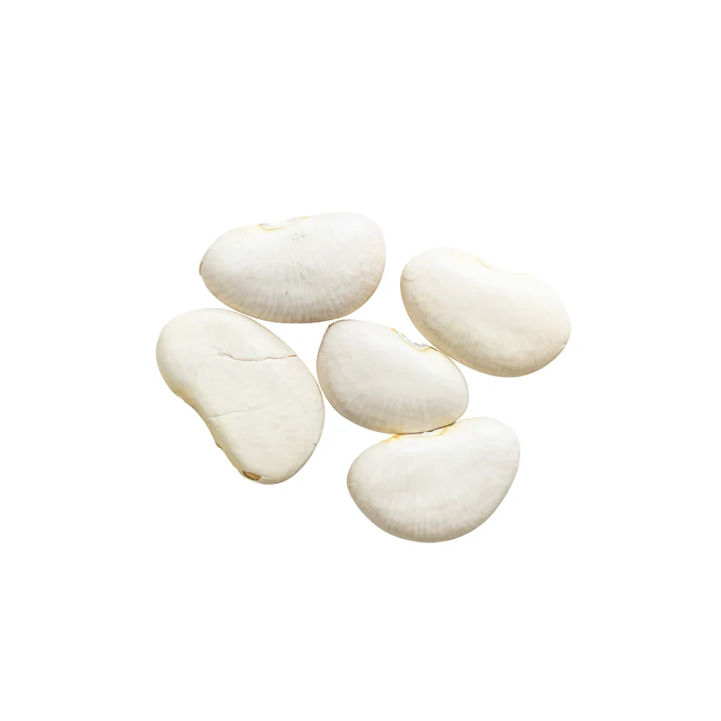POIS DE CAP - HARICOT DE LIMA - HARICOT DE LIMA 500g
