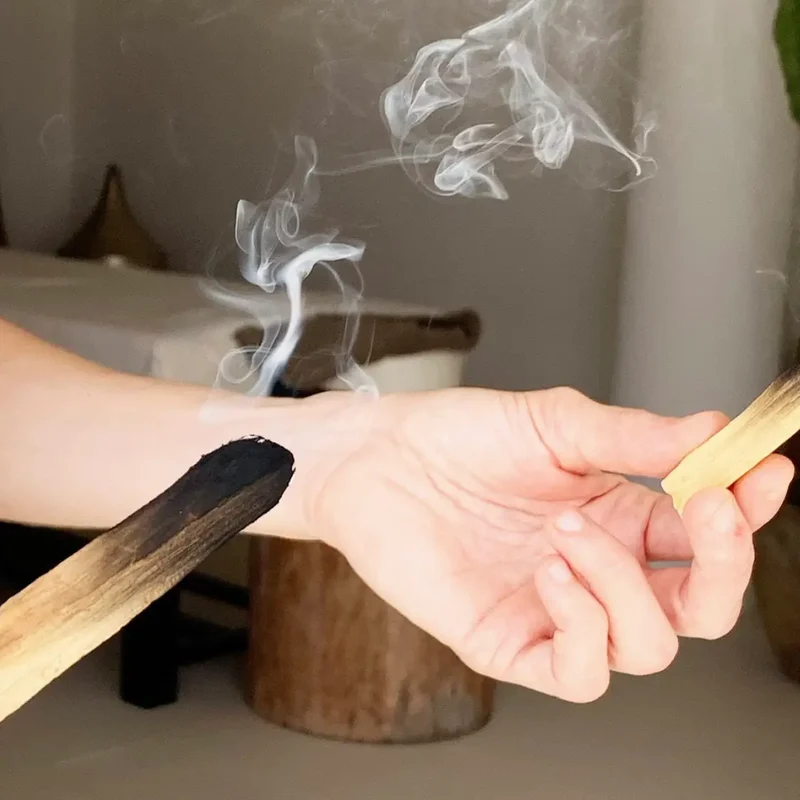 Home Goods | Palo Santo [Purifica]