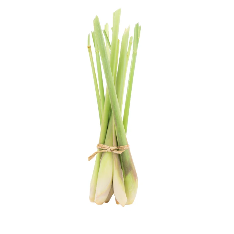 CITRONNELLE FRAÎCHE 100 g