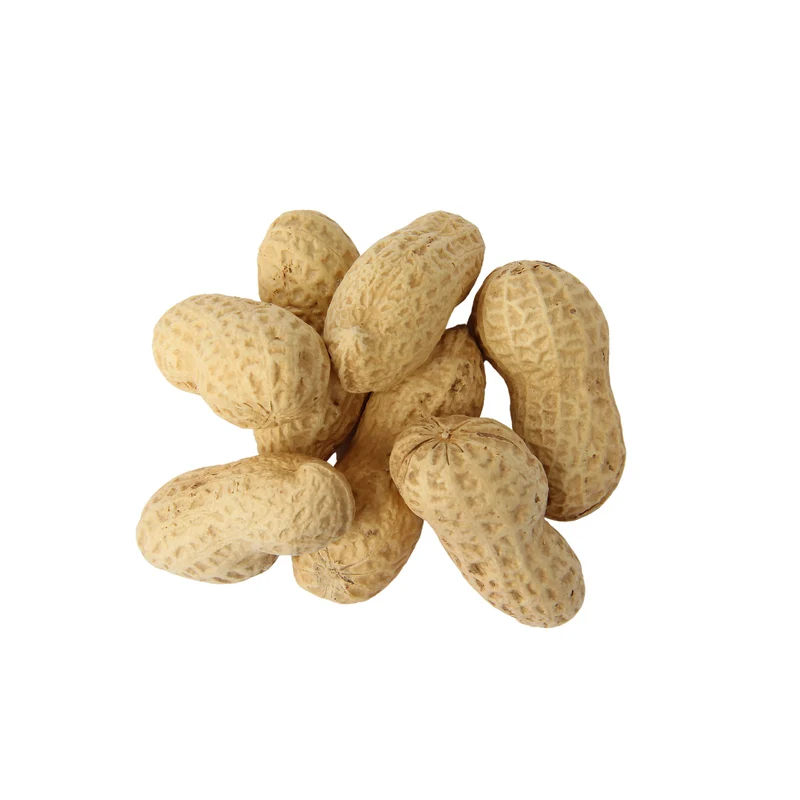 ARACHIDES EN COQUES 100g