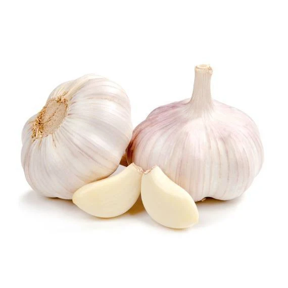 AIL 100 G