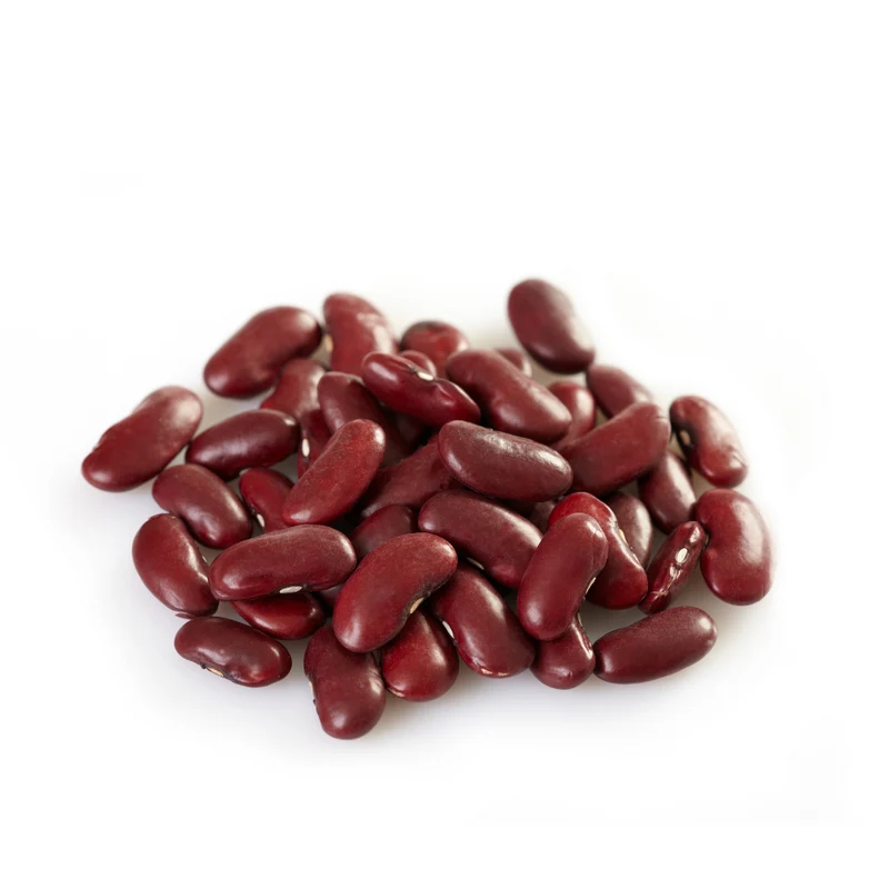 HARICOTS ROUGES CODAL 420 G