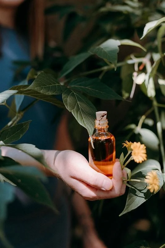Macérât huileux de calendula du Québec