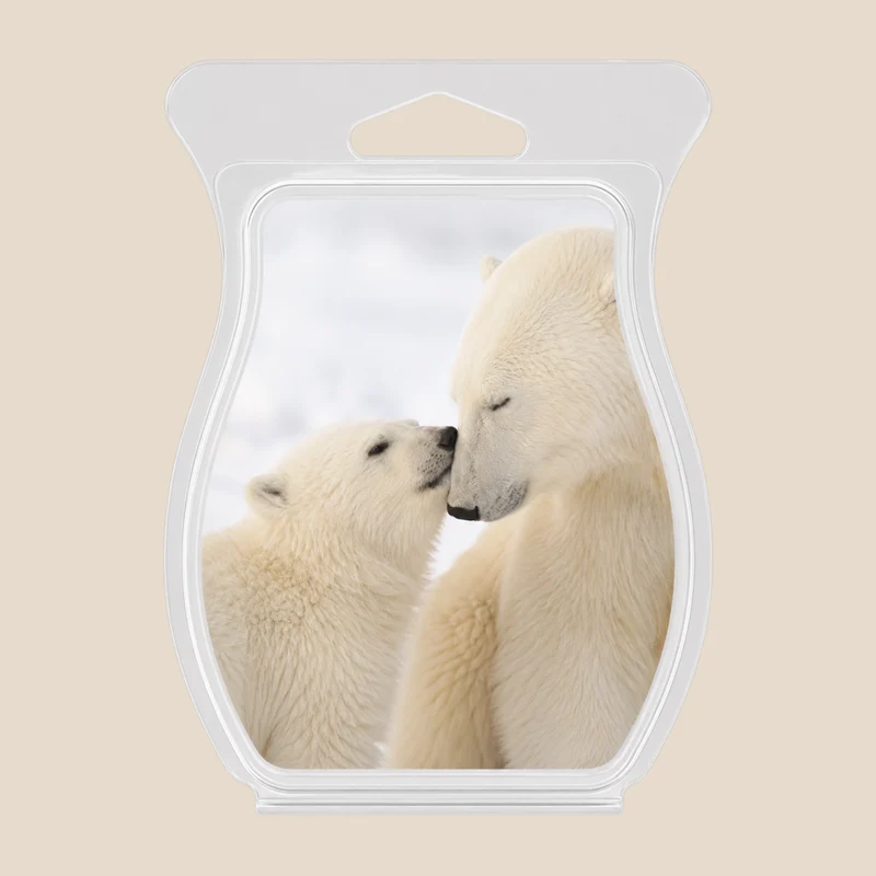 Polar Kiss Fragrance Oil
