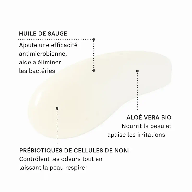 Déodorant à bille Pure Prebiotic