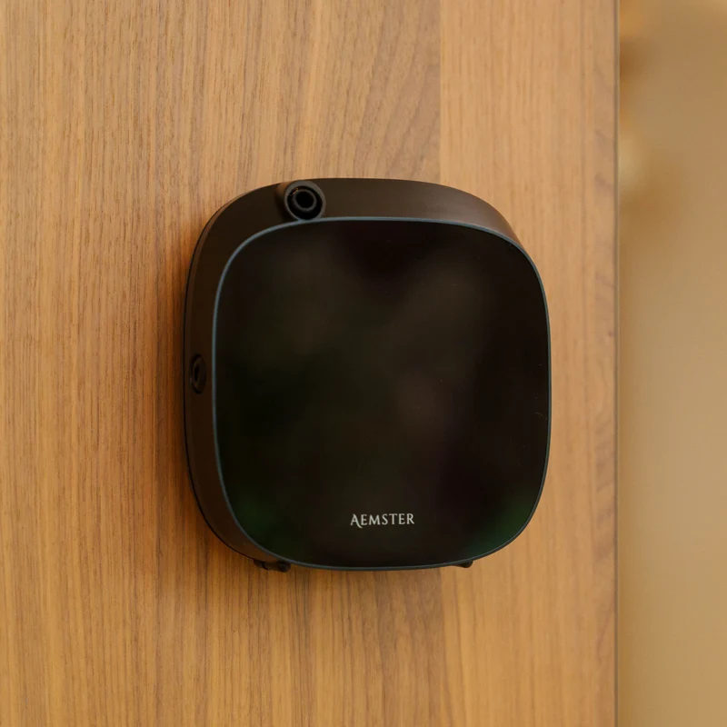 Wally Wall Plate
