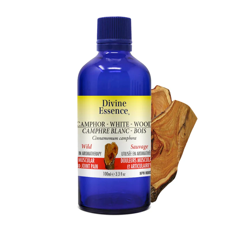 Camphor White Wood Wild