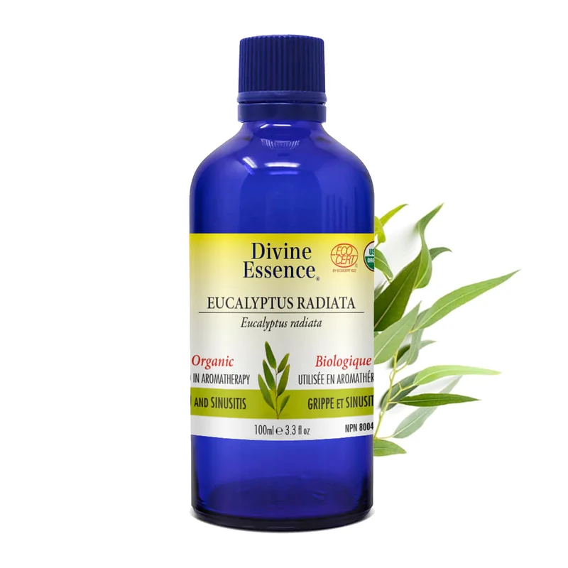 Eucalyptus Radiata Organic