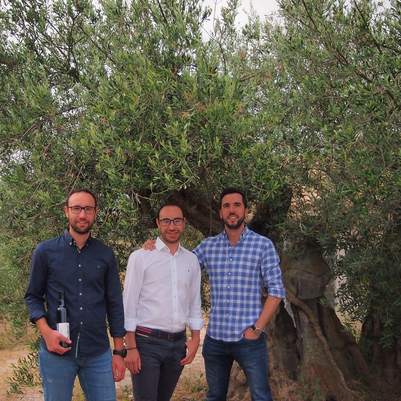 9 OLIVERES | DEGUSTACIÓN | 6 × 500 ml