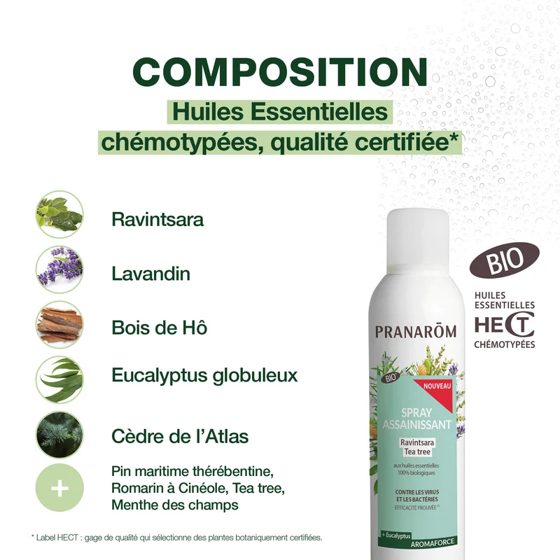 Spray assainissant Ravintsara - Tea-tree - Bio