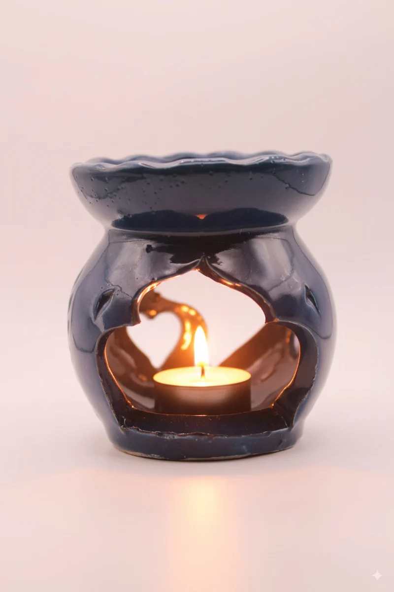 Le Diffuseur Oasis