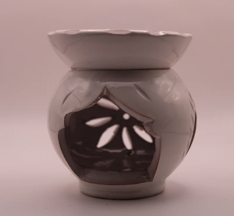 Le Diffuseur Oasis