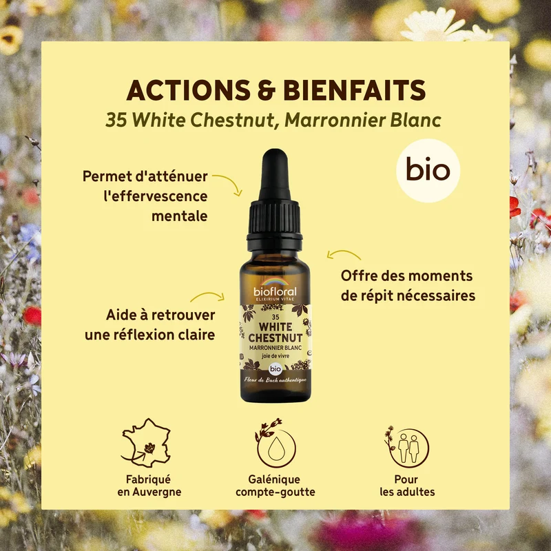 Fleur de Bach n°35 White Chestnut, Marronnier Blanc - Bio Demeter