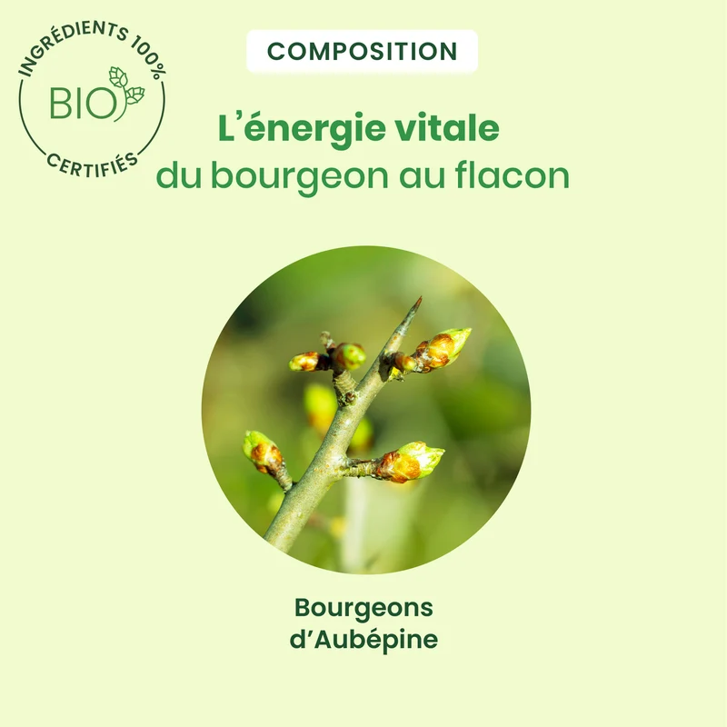 Bourgeon d'Aubépine - Bio