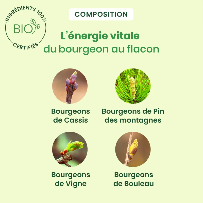 Artigem - complexe articulations - Bio