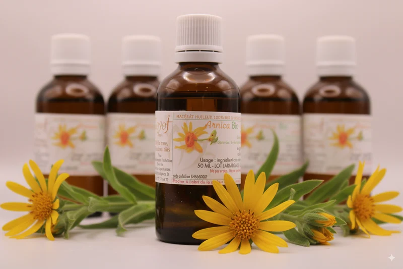 Macérât Huileux BIO d’Arnica