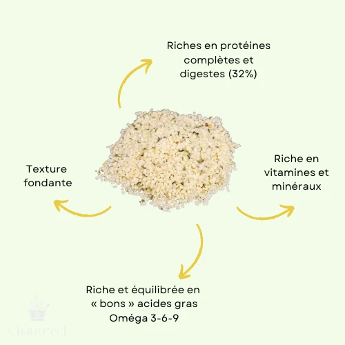 Graines de Chanvre Décortiquées Toastées Bio | Alternative à la Noisette | Riche en Protéines (33%)