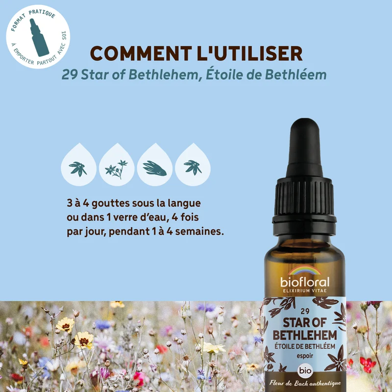 Fleur de Bach n°29 Star of Bethlehem, Étoile de Bethléem - Bio Demeter