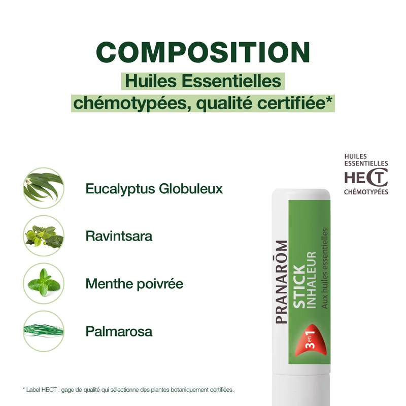 Stick inhaleur 3 en 1