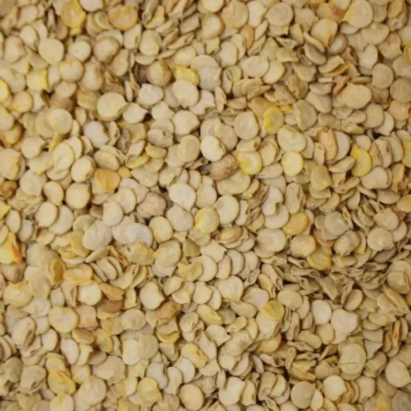 Graines de Poivron 50g | 100g | 200g | 100% Naturelles