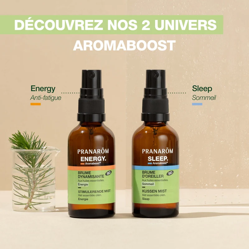 Brume d'oreiller Sleep - Bio