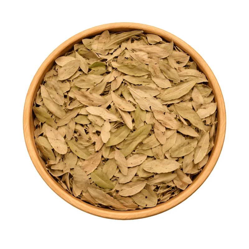 Feuilles de Pistacia lentiscus (El Darw الضرو) – Infusion & Bien-être Naturel
